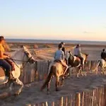 Les Hauts De - De Familiale - Piscine Toute L'annee Vakantiehuis Calvisson