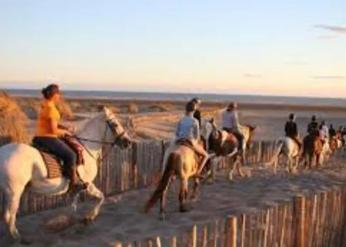 Les Hauts De - De Familiale - Piscine Toute L'annee